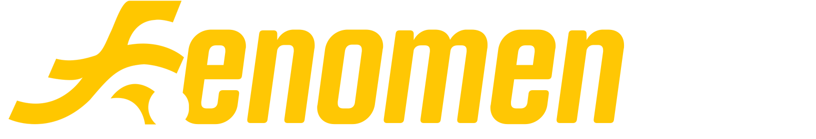 fenomenbet